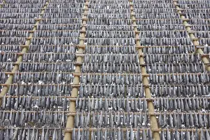 Fishery Prints: Picture No. 11992348