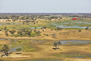 Moremi Game Reserve Collection: Picture No. 12009429