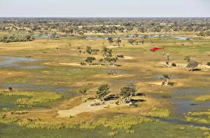 Moremi Game Reserve Collection: Picture No. 12009430