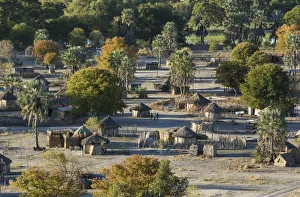 Moremi Game Reserve Collection: Picture No. 12009431