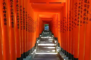 Gates Prints: Picture No. 12009433