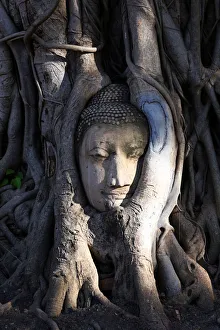 Statue Collection: Picture No. 12009436