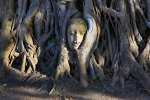 Statue Collection: Picture No. 12009437