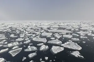 Global Warming Prints: Picture No. 12009537
