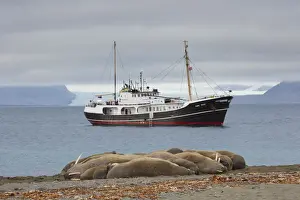 North Pole Prints: Picture No. 12009620