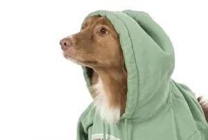 Hoodie Prints: Picture No. 12010322