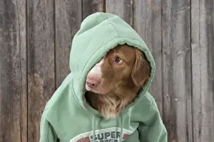 Hoodie Prints: Picture No. 12010336