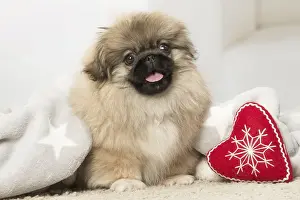 Sticking Prints: Picture No. 12019340