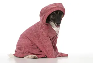 Hoodie Prints: Picture No. 12019617