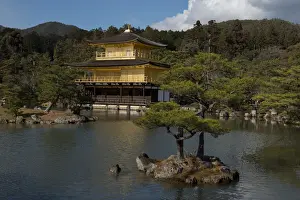 Pavilion Prints: Picture No. 12019820