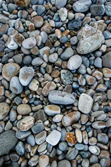Playa Prints: Picture No. 12020170