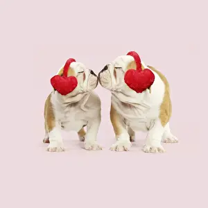English Prints: Picture No. 12020217