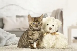 Cuddly Prints: Picture No. 12020277