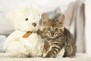 Cuddly Prints: Picture No. 12020278