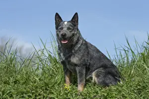 Picture No. 12020308