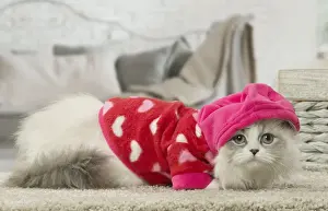 Hoodie Prints: Picture No. 12478720