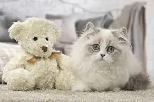 Cuddly Prints: Picture No. 12478733