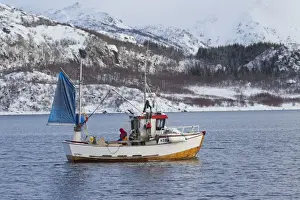 Boats Prints: Picture No. 12479135