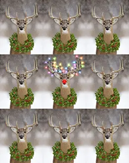 Decorated Prints: Picture No. 12479227