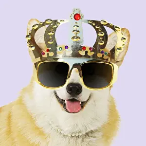 Queen Prints: Picture No. 12479234