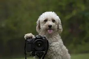 Open Prints: Picture No. 12479304