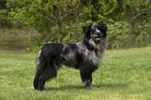 Picture No. 12479312