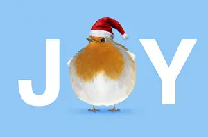 Santa Prints: Picture No. 12479617