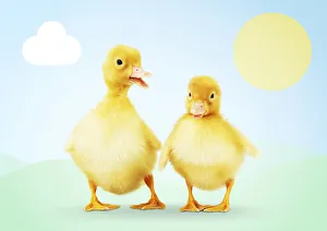 Easter Collection: Picture No. 12479919