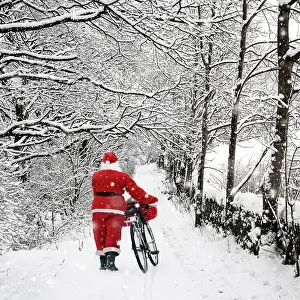 Bike Prints: Picture No. 12479927