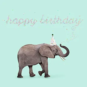 Wishing Collection: Picture No. 12479933