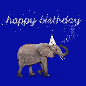 Wishing Collection: Picture No. 12479934