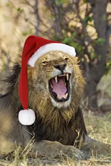 Santa Prints: Picture No. 12479938