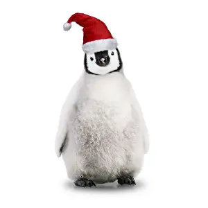 Santa Prints: Picture No. 12479943