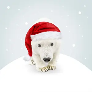 Picture No. 12479952