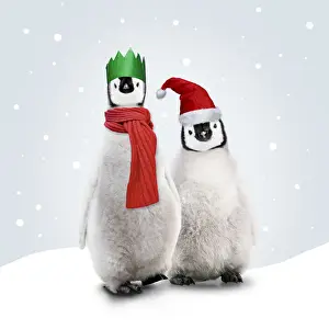 Scarf Prints: Picture No. 12479961