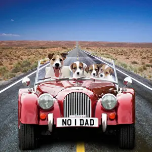 Transport Prints: Picture No. 12479982