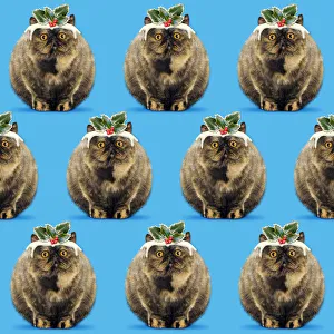 Weird Collection: Picture No. 12479991