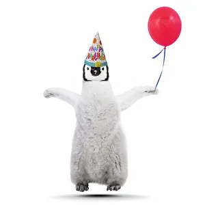 Birthday Collection: Picture No. 12480082