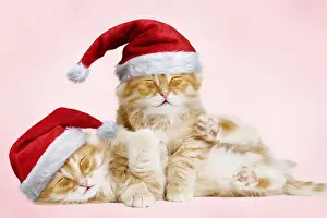 Santa Prints: Picture No. 12480144