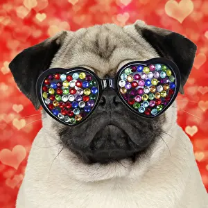 Grumpy Prints: Picture No. 12480175