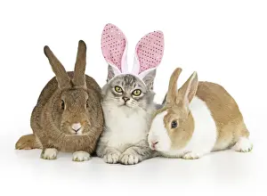 Easter Prints: Picture No. 12480186