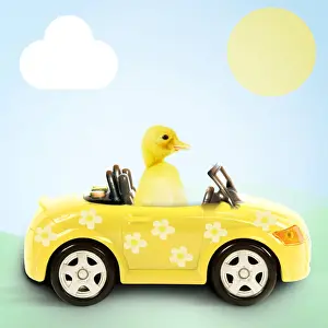 Transport Prints: Picture No. 12480190