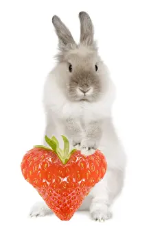 Heart Prints: Picture No. 12480191