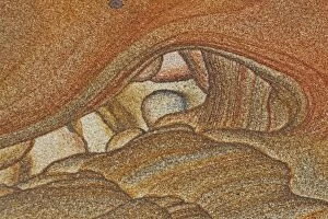 Images Dated 1st January 2000: Picture Sandstone Detail - Northern Arizona / Utah - Natural sandstone formed 180 years to 220