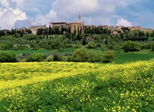 Town Prints: Pienza in spring ancient city of Pienza with colourful blooming fields in spring Val d'Orcia