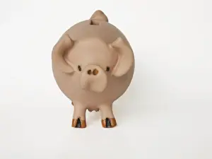 Ceramic Prints: Pig - ceramic moneybox