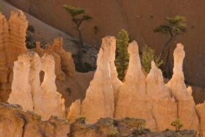 Images Dated 19th April 2005: Pinnacles of limestone rock (so-called hoodoos)