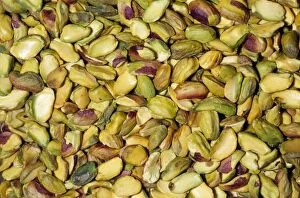 Images Dated 6th March 2007: Pistachio Nut - shelled Native throughout Middle East