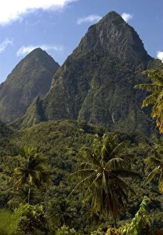 Images Dated 2nd August 2005: The Pitons Mountains. The Island of St. Lucia is very green with coconut palms widely scattered