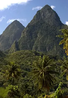 Coconuts Prints: The Pitons Mountains. The Island of St